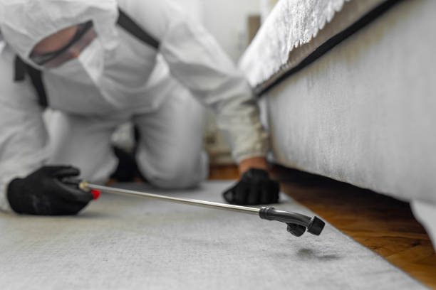 Professional Cockroach Control technician working in Ramtown, NJ