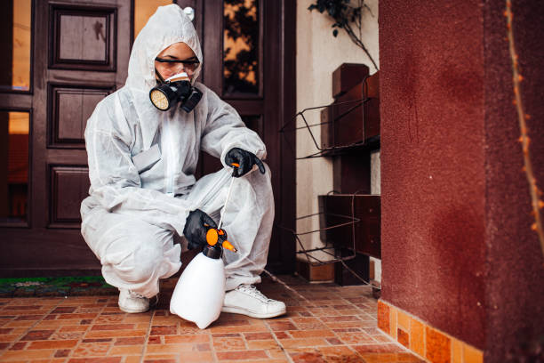 Reliable Cockroach Control contractor in Ramtown, NJ by Nex Pest Control